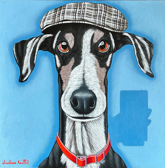 (SOLD)Enzo,the fastest couch potato in the land
